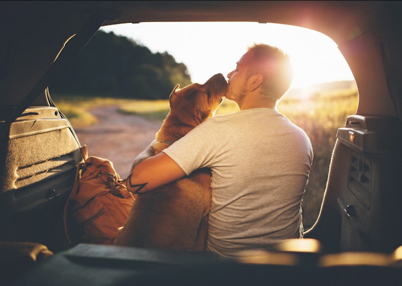 Kofferraumauskleidungen für Sauberes Auto wenn Sie einen Hund haben.