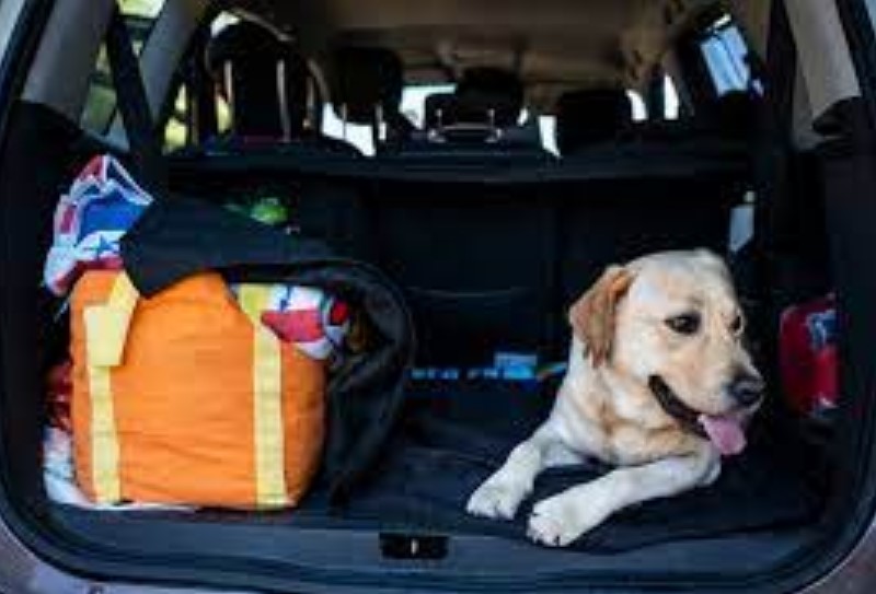 Gepolsterte Kofferraumauskleidungen für ein komfortables Platz im Auto für Ihr Hund.